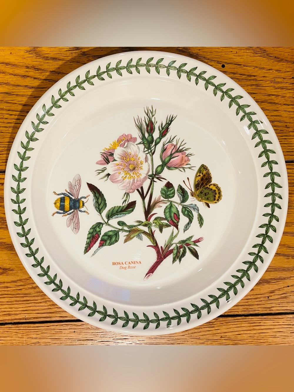 Portmeirion Botanic Garden Rosa Canina Dog Rose 8.5 inch plate
